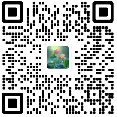 数学小灵通(上旬刊)杂志模板